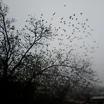 Stivakti *