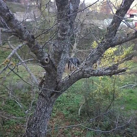 Stivakti Lägenhet Karpenísion