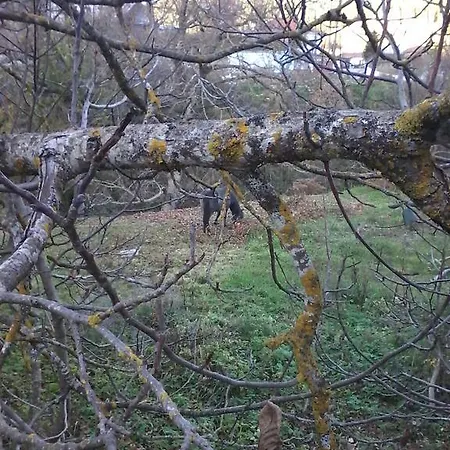 Lägenhet Stivakti *