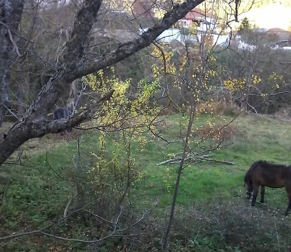 Appartement Stivakti *